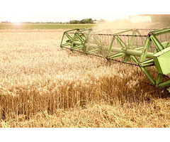 Stabilizers Lift and Escalator Performance