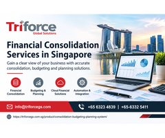 Financial Consolidation Services in Singapore