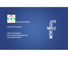 I will provide 1000 permanent facebook likes