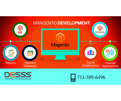 Magento Development Company Houston USA