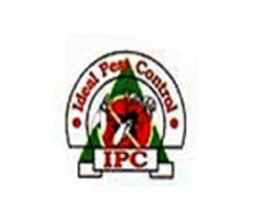 Ideal Pest Control Services In Pune