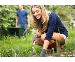 View Landscape Design by Landscape Designers Miami