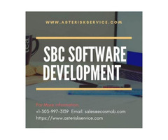 SBC Software Development in Europe