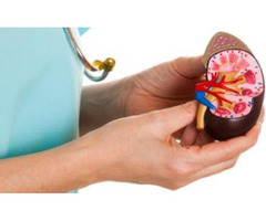 Top Kidney Specialists In Hyderabad