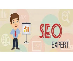 The SEo expert