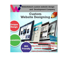 Webinfotech custom website design and Development