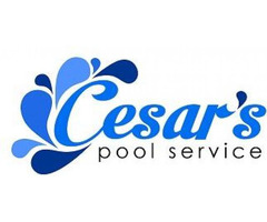 Best Pool Service Palm Springs