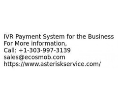 IVR Payment System for a customized solutions