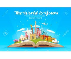 The world traveller