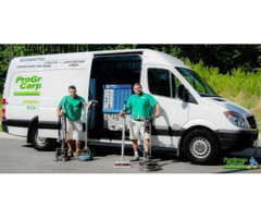 Progreen Carpet cleaning services in Durham