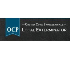OCP Bee Removal Houston - Bed Bug Exterminator