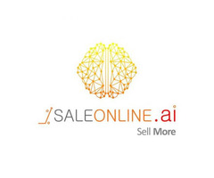 Optimize Amazon Sponsored Products Ads-SaleOnline