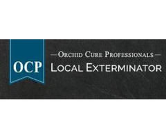 OCP Bee Removal Tampa FL - Bee Exterminator