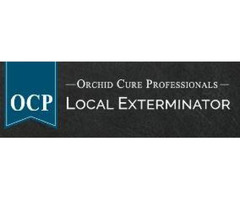 OCP Bee Removal San Diego CA - Bee Exterminator