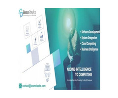 Web Design & Development Company in Delhi