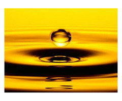 Get the Best Used Cooking Oil Recycling Services