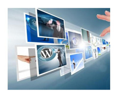 Multilingual WordPress Websites