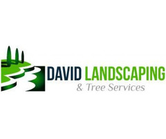 Lawn Maintenance Tips For a Healthy Lawn
