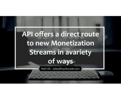 API Integration Development at Affordable price