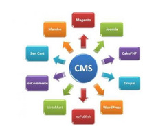 Get Flexible and Powerful CMS Web Development.