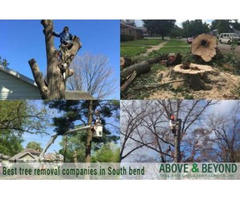 Best Tree Removal Services in South Bend, Indiana