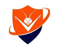 Termite Control Weslaco | Venibra Pest Control