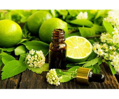Best homoeopathic medicine Alternative medicine homeopathy