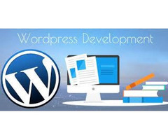 Get best Packages on Wordpress CMS Development