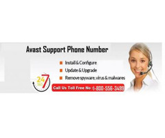 Call at Avast antivirus support phone number