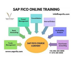 SAP FICO Online Training in USA