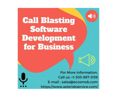 Call Blasting Software Development for Business