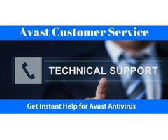 Avast Tech Support Number