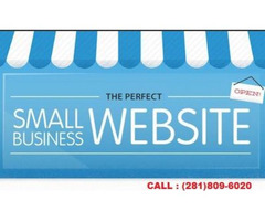 Small Business Website Development Company