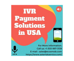 IVR Payment Solutions in United States