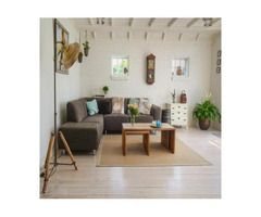 Professional Cleaners in San Diego