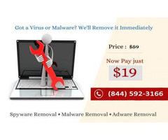 Virus Removal Service at just only $19 - call (844) 592-3166