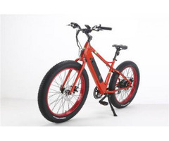 Buy Electric Road Bikes