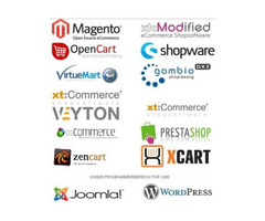 Webiprog :: Bespoke web development company for websites