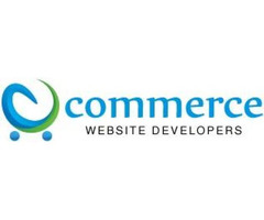 Ecommerce Web Designer