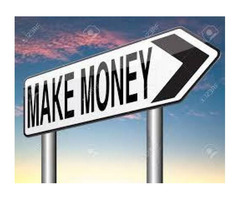 Executive Level Income Opportunity