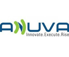 Search Engine Optimization Services Provider