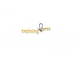 SAP Simple Logistics  online training @ trainingbees.com