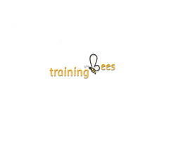Hadoop online training @ trainingbees.com