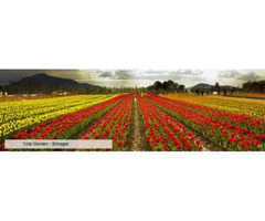 Kashmir Tour packages
