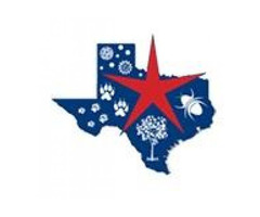 Allergist Dallas