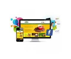 eCommerce Web Development Agency