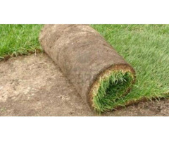 Landscaping North Phoenix