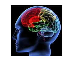 Hire Professional Family Therapists Minnesota