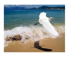 Responsive Web Design Company San Diego