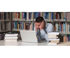 Dedicated Assignment Writers Online